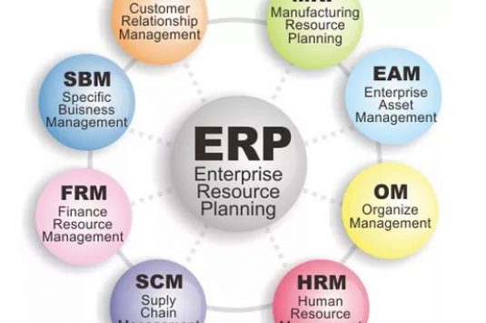 7 hábitos para el éxito del ERP